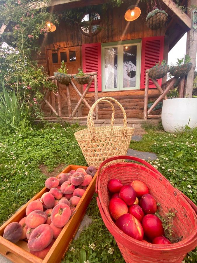 Meena Bagh Ratnari- An Apple Orchard BungalowBagi エクステリア 写真