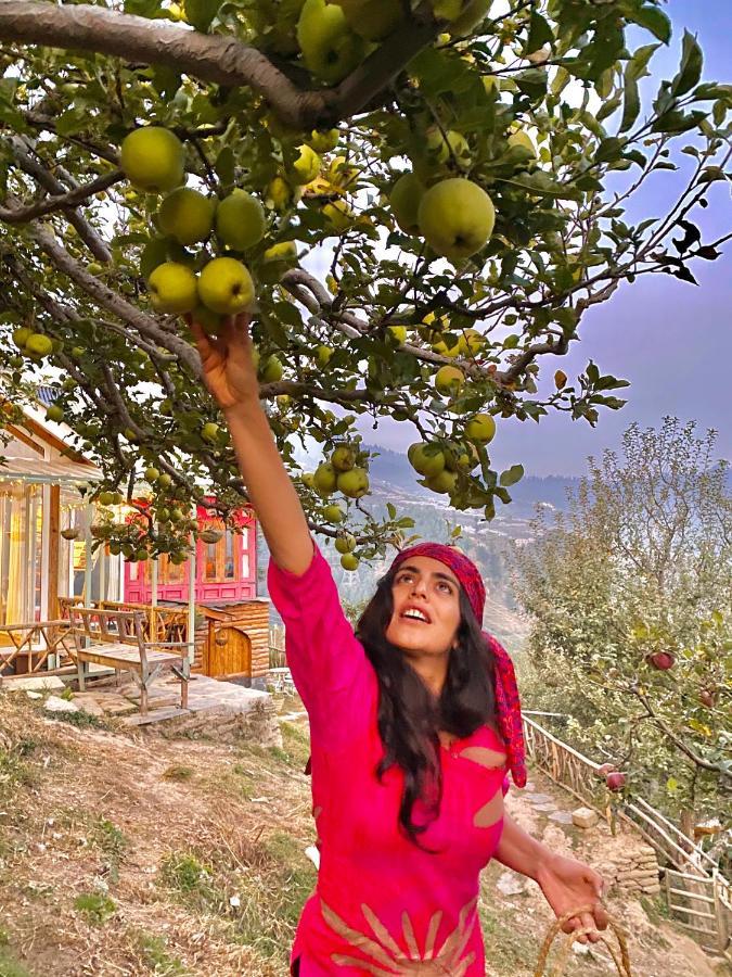 Meena Bagh Ratnari- An Apple Orchard BungalowBagi エクステリア 写真