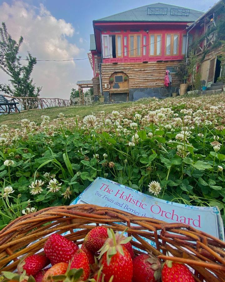 Meena Bagh Ratnari- An Apple Orchard BungalowBagi エクステリア 写真